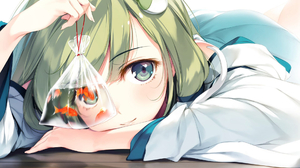 Anime Girls Anime Green Hair Green Eyes Fish Touhou 1920x1200 Wallpaper