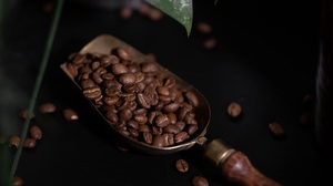 Coffee Beans 3840x2400 Wallpaper