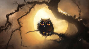 Animal Owl 2710x2213 Wallpaper