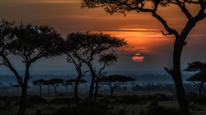 Africa Dawn Kenia Landscape Savannah Sunrise Tree 5452x3635 Wallpaper