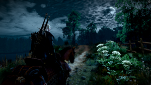 The Witcher 3 Wild Hunt Video Games Horse Horseback Clouds Video Game Art Flowers Video Game Charact 1920x1080 Wallpaper