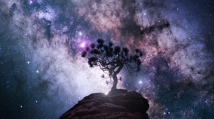 Trees Landscape Nightscape Nature Sky Galaxy Stars 3838x2160 Wallpaper