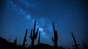 Cactus Desert Earth Galaxy Milky Way Night Silhouette Sky Starry Sky Stars 2000x1333 Wallpaper
