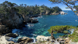 California USA Landscape Nature Coast Cliff Sea Sunny Forest Shallows Calm Waters Water 3360x1862 Wallpaper