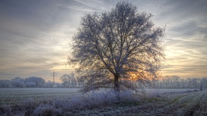 Outdoors Cold Field Frost Snow Ice Trees Sky Winter 3840x2160 Wallpaper