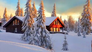 Cabin Forest House Snow Tree 1920x1280 Wallpaper