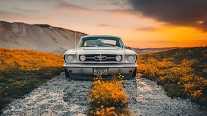 Car Vehicle Ford Outdoors Ford Mustang Ford Mustang GT 350 Silver Cars Numbers Plants Landscape 5120x3413 Wallpaper
