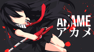 Anime Akame Ga Kill 3840x2160 wallpaper