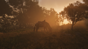 Far Cry 6 Game CG Horse Sunset CGi Sunset Glow Video Games Trees Grass Animals 2560x1440 Wallpaper