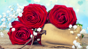 Bokeh Flower Heart Shaped Red Flower Red Rose Rose Still Life White Flower 6361x4241 Wallpaper