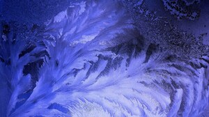 Frost Winter Glass Nature 2560x1600 Wallpaper