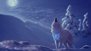 White Wolf Winter Night Snow Moon 3000x2000 wallpaper