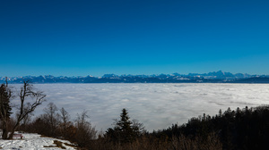 Photography Nature Outdoors Landscape Mountains Snow French Alps Mont Blanc Clouds Trees Forest Clea 2048x1365 Wallpaper