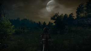 PC Gaming The Witcher The Witcher 3 Wild Hunt Landscape Cirilla Ciri Triss Merigold Geralt Of Rivia  3440x1440 Wallpaper
