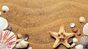 Sand Starfish 3872x2562 wallpaper