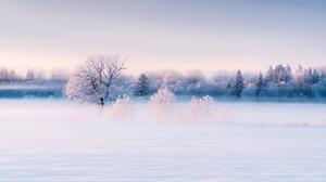 Landscape Nature Winter Snow Ice Frost Forest Field Estonia Europe Mist Trees 4096x2732 Wallpaper