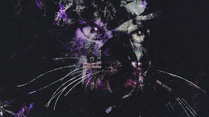 Glitch Art Animals Abstract Cats 1080x1920 Wallpaper