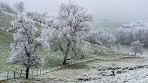 Outdoors Field Winter Frost Landscape Cold Trees 3840x2160 Wallpaper