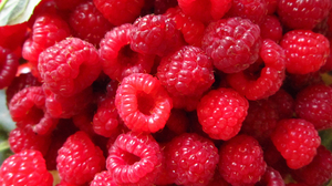 Food Raspberry 2560x1600 Wallpaper