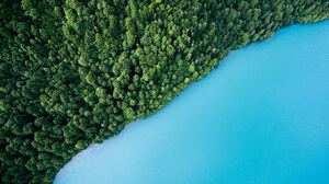 Aerial Forest Shoreline Water 2560x1440 Wallpaper