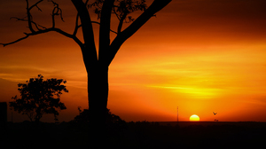 Silhouette Nature Brazil Sunset Landscape 3840x2160 Wallpaper