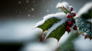 Ai Art Winter Snow Christmas Minimalism Closeup Leaves Simple Background 3641x2048 Wallpaper