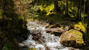 Outdoors Nature Photography Greenery Trees Forest Stream Water Rocks Moss Lichen 2048x1365 wallpaper