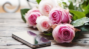 Smartphone Bouquet Rose 4288x2848 Wallpaper