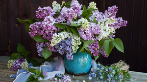 Bouquet Lilac 2560x1600 Wallpaper