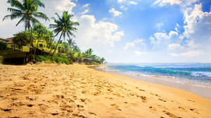 Beach Sand Ocean Sea Tropical Palm Tree Horizon 4500x3140 Wallpaper
