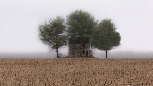 Field Fog 3840x2160 Wallpaper