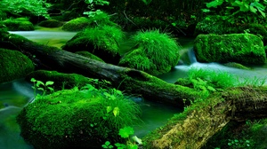 Nature Stream Stones Wood Moss Water Long Exposure 3840x2560 Wallpaper
