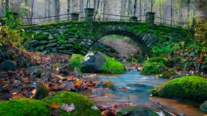 Nature Forest Bridge Stream Moss Stones 3840x2560 Wallpaper