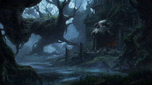 Skull Dark Tree Bark Castle Magic Evil Swamp Forest 1920x1079 Wallpaper