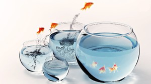 Fish Aquarium Water Goldfish Digital Art 1920x1080 Wallpaper