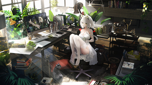 Arknights Kaltsit Arknights Omone Hokoma Agm Anime Girls White Hair Cat Girl Cats 2400x1430 Wallpaper
