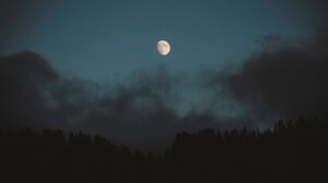 Nature Clouds Pine Trees Forest Moon Moonlight Night Sky 4096x2731 Wallpaper