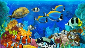 Animal Fish 7000x5393 wallpaper