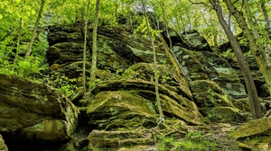 Nature Rocks Moss Trees Cliff Forest Green Stones 3840x2880 Wallpaper