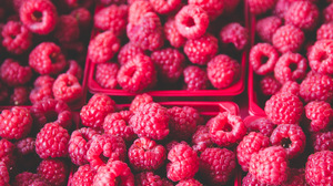 Berry Fruit Raspberry 2048x1365 Wallpaper