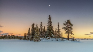 Nature Cold Outdoors Snow Trees Sky Winter 3840x2160 wallpaper
