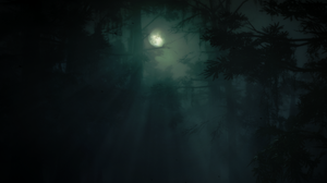 Red Dead Redemption 2 Nature Night Swamp Moonlight Mist Moon Gothic Forest Video Games CGi Minimalis 2278x1392 Wallpaper
