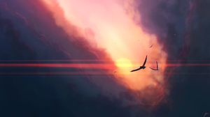 JoeyJazz Nature Birds Sunset Clouds 2560x1440 Wallpaper