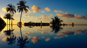 Landscape Reflection Beach Sunset Palm Trees Clouds 2240x1260 Wallpaper