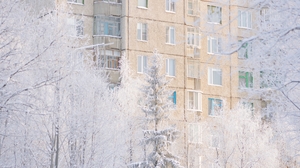Snow Building Block Of Flats Brutalism Winter Portrait Display Trees Cold Frost 3873x5809 Wallpaper