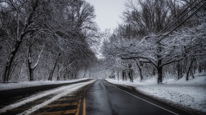 Outdoors Trees Winter Cold Ice Snow Road Asphalt 3840x2160 Wallpaper