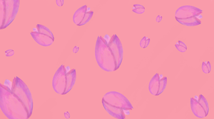 Pink Abstract Minimalist Tulip 3840x2160 Wallpaper