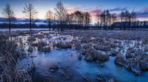 Nature Cold Landscape Winter Ice Frost 3840x2160 Wallpaper
