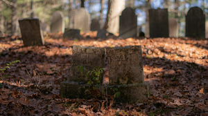 Cemetery Tombstones Foliage Leaves Fall Kyle Larivee 3840x2160 Wallpaper