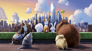 The Secret Life Of Pets Animals Movies Animation City Pet Dog Cats Birds Building Clouds Sunset Suns 3840x2400 wallpaper